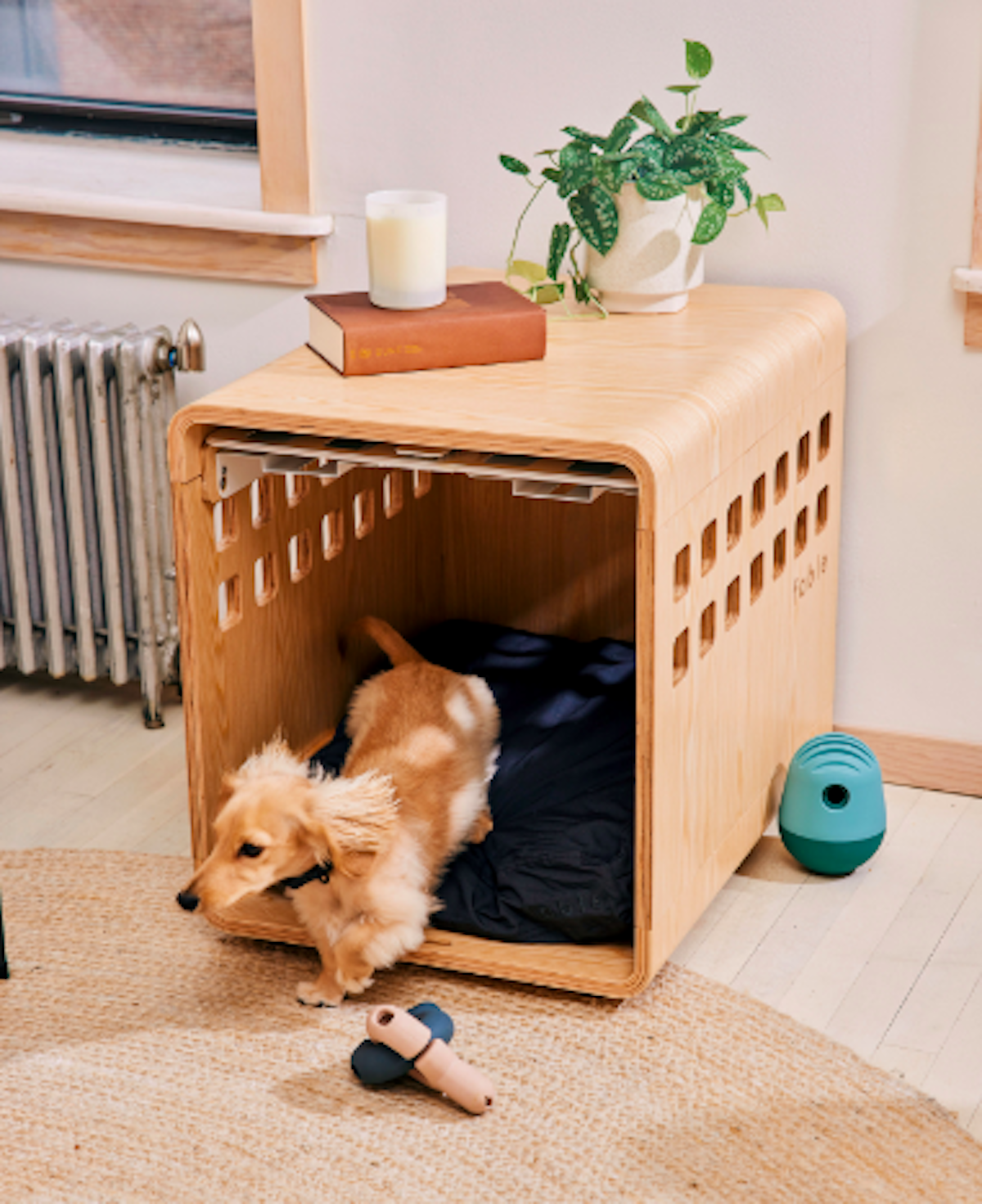 anxiety relief dog crate