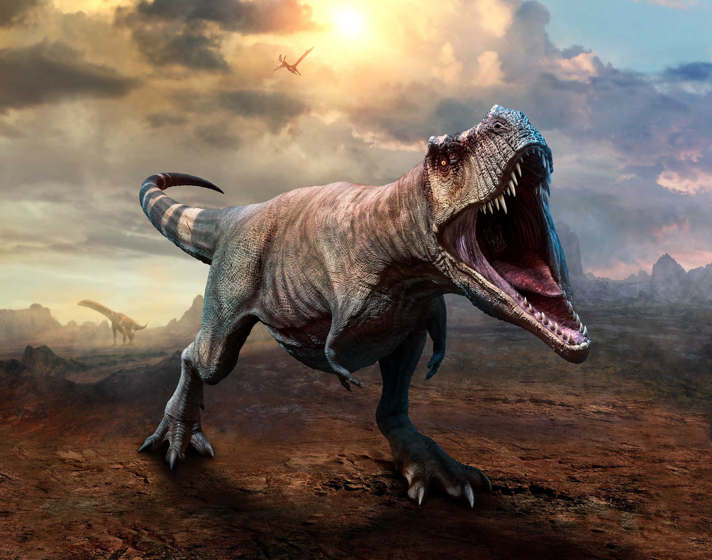 Tyrannosaure Rex Dent Fossile #663116 ~ Précise Pièce Avec Safari 