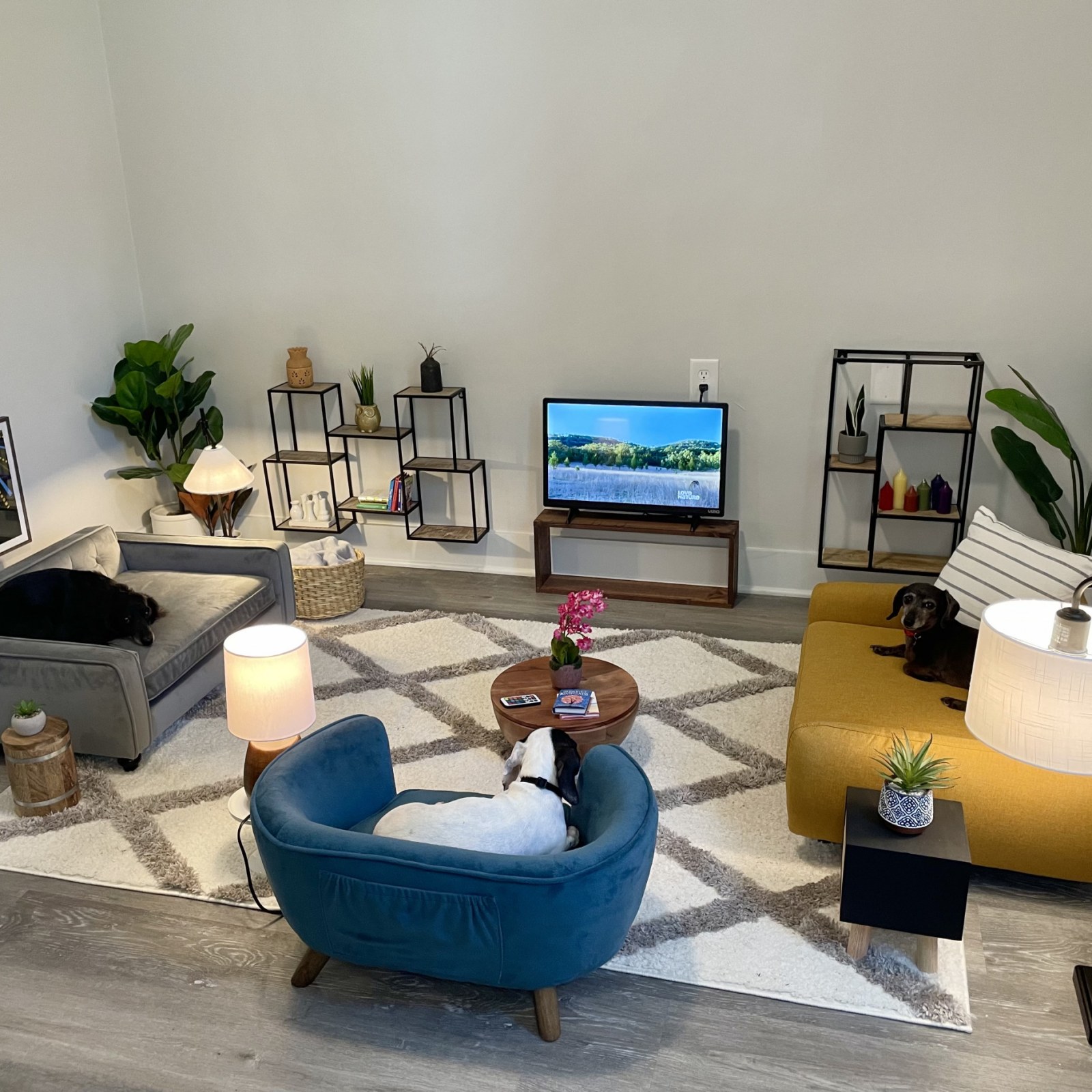 Owner Builds Impressive Living Room For