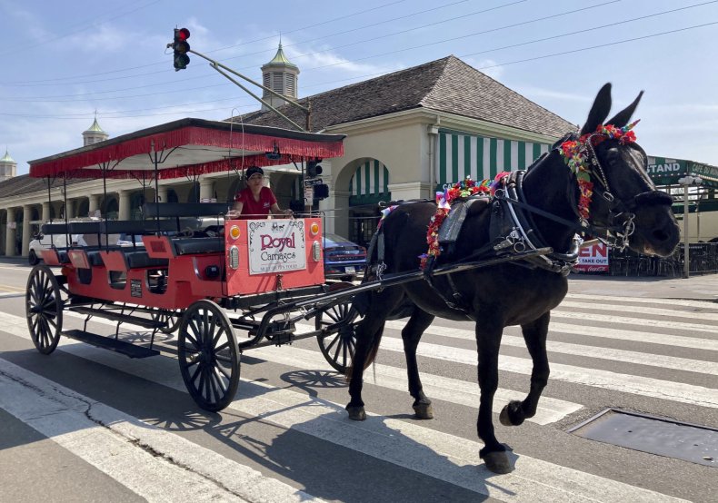New Orleans Recovers After Ida