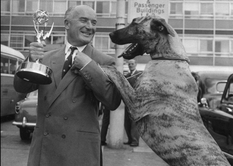 1966