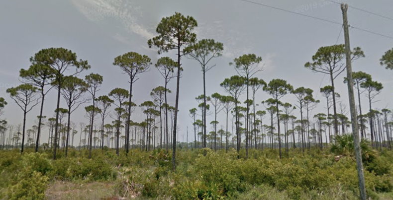 Taylor County, FL