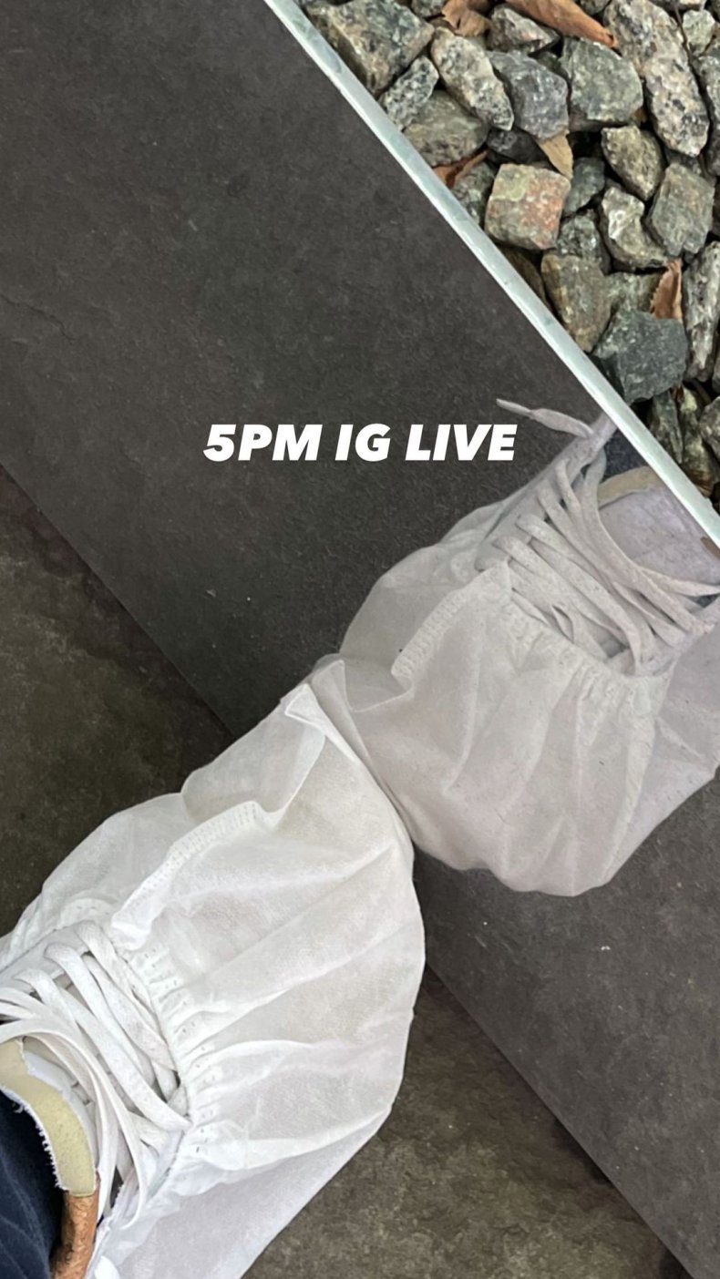 Timothée Chalamet's Instagram Story