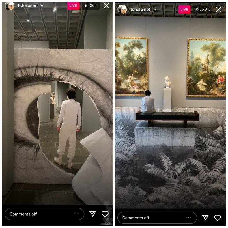 Timothée Chalamet's Instagram Live