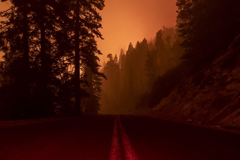 Sequoia National Forest Fires
