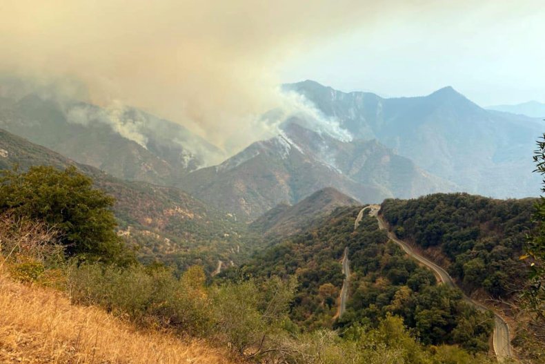 Wildfires Sequoia