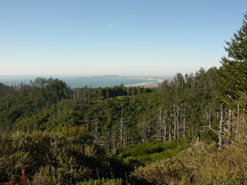 Point Reyes and Drakes Bay