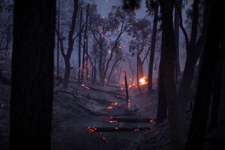 California wildfires