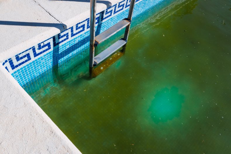 File photo of green pool. 