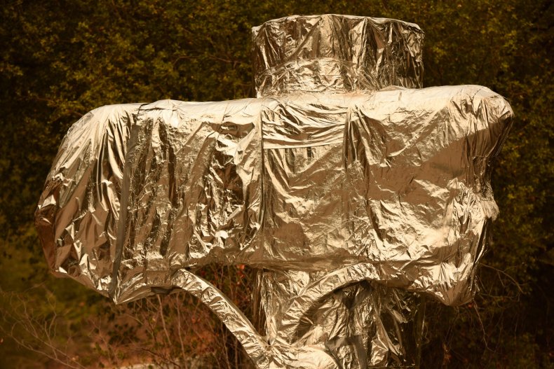 Fire Resistant Foil Sequoia