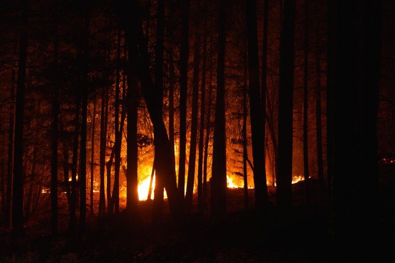 Wildfire