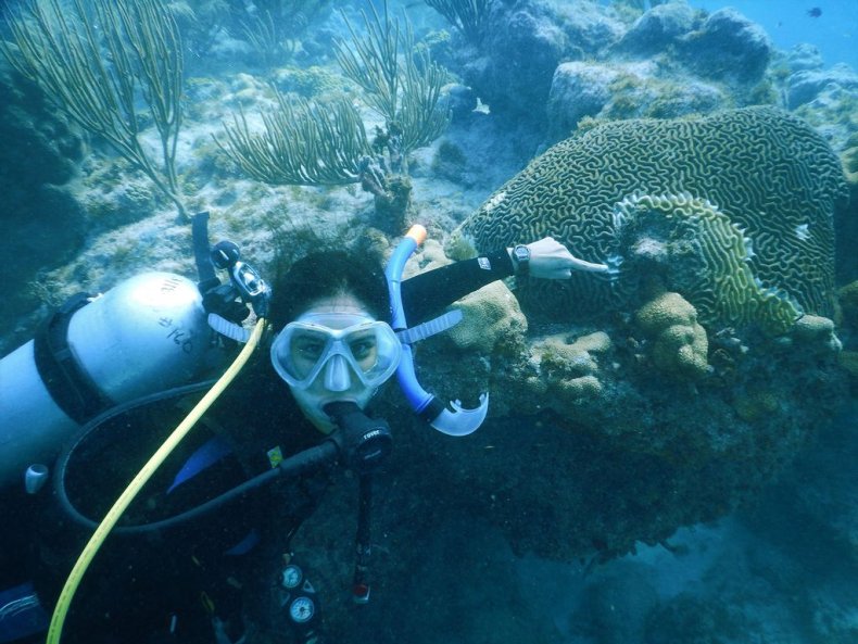 Stony Coral Tissue Loss