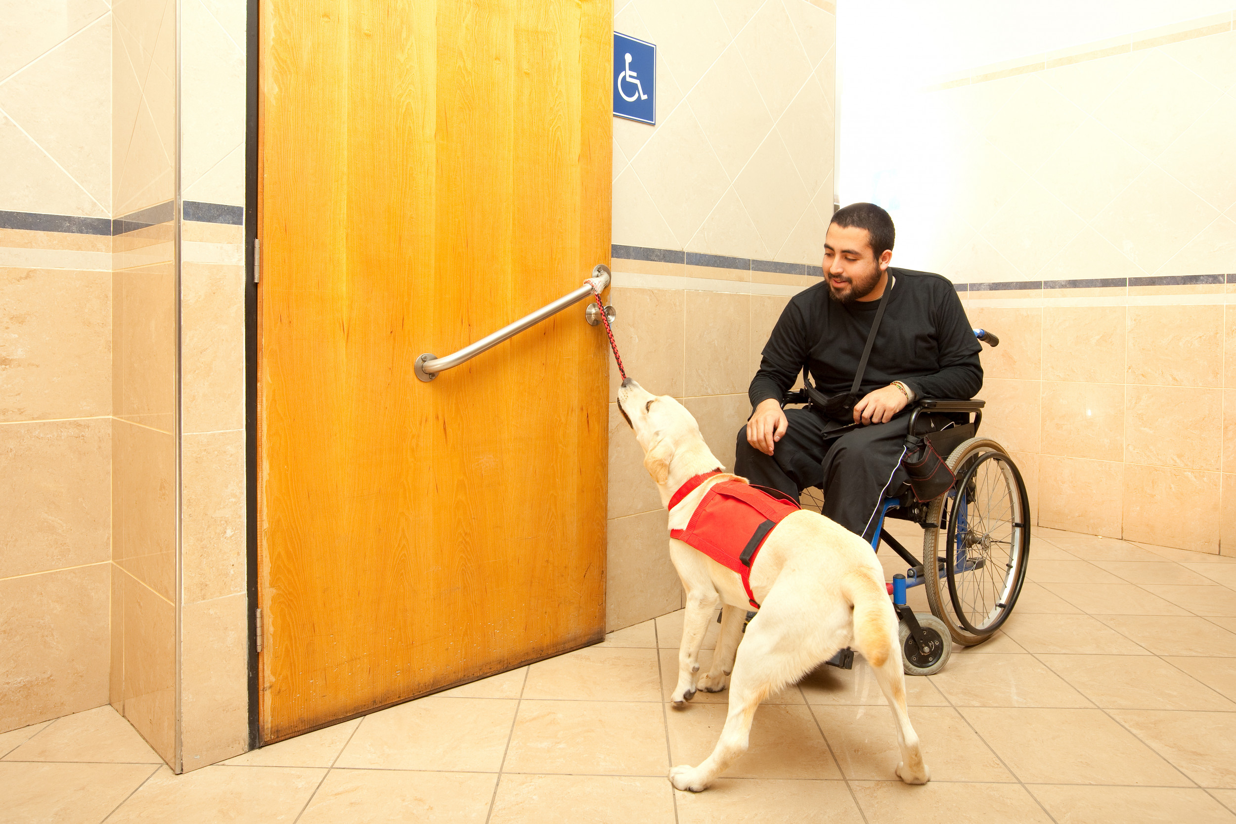 can a service dog be protection trained case law