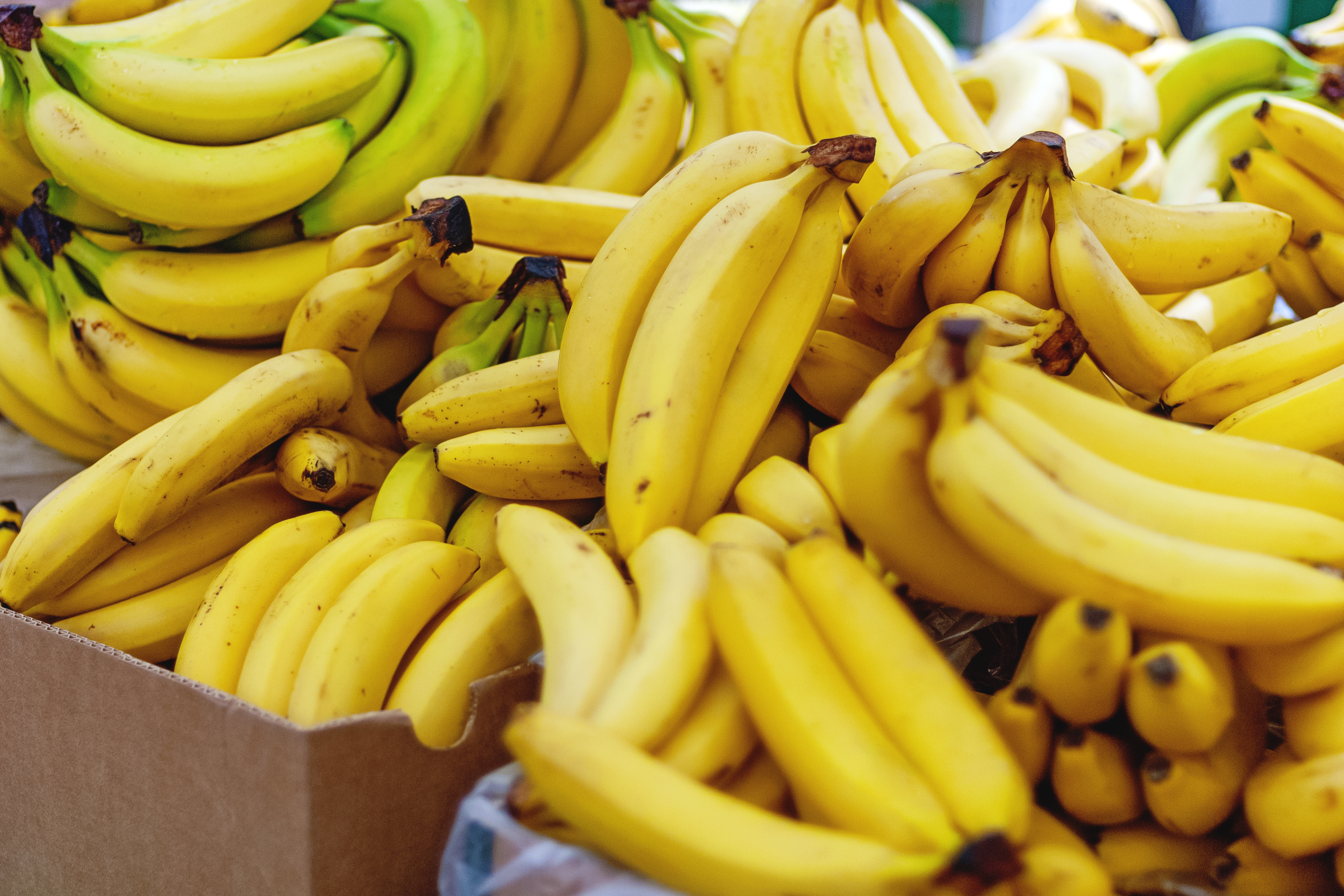 Man Discovers Gigantic Banana at Grocery Store