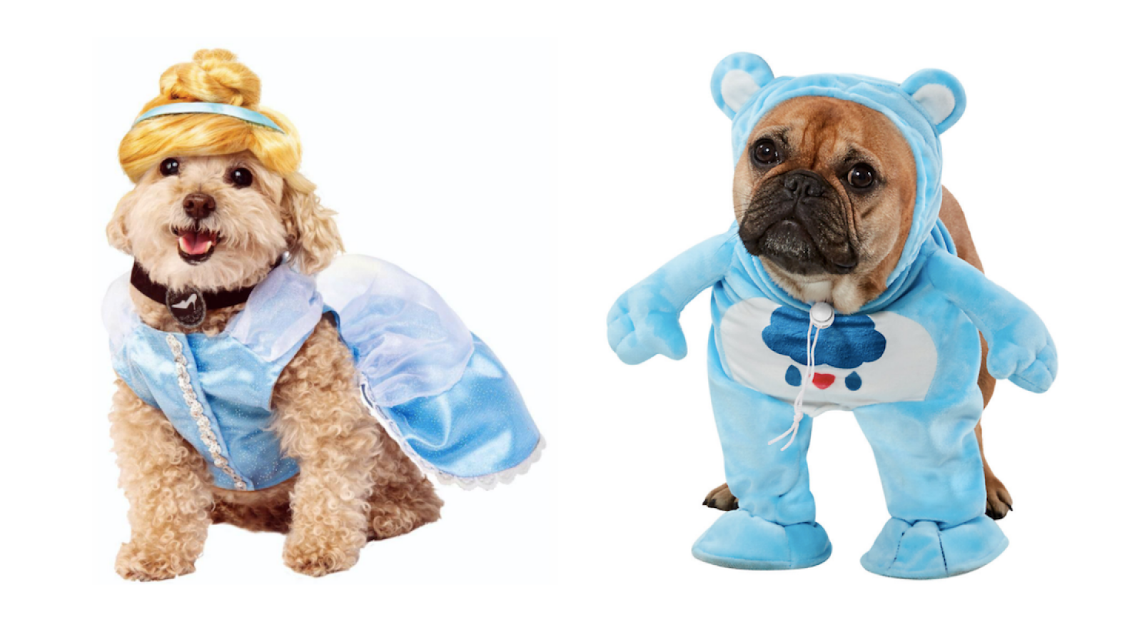 45 Of The Cutest Halloween Costumes For Your Puppy Brothers  Cute dog  halloween costumes, Pet halloween costumes, Best dog halloween costumes