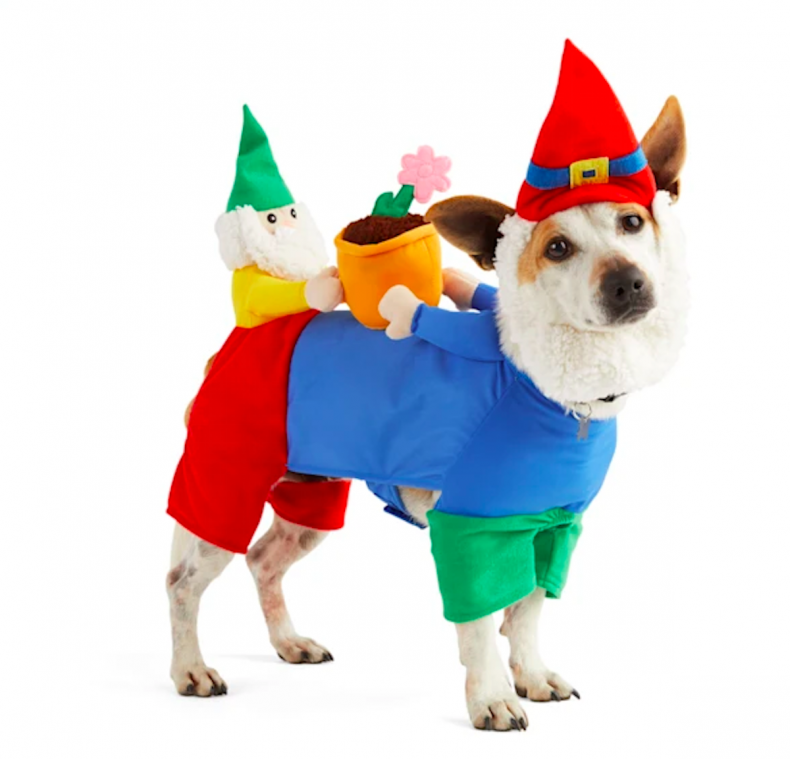 costumes de chien halloween mignon 1