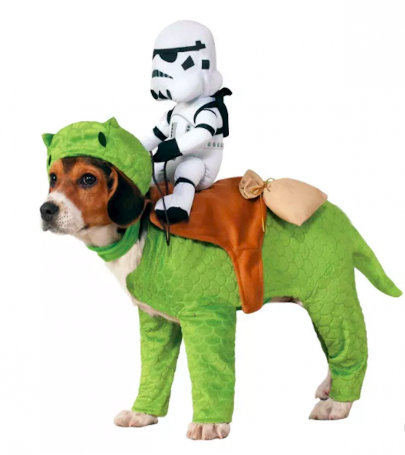 costumes de chien d'halloween mignons 2