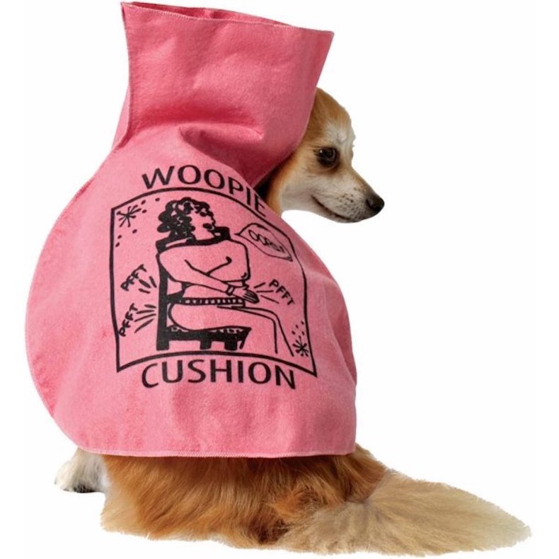 Cutest Halloween Dog Costumes Inspired By Food | vlr.eng.br