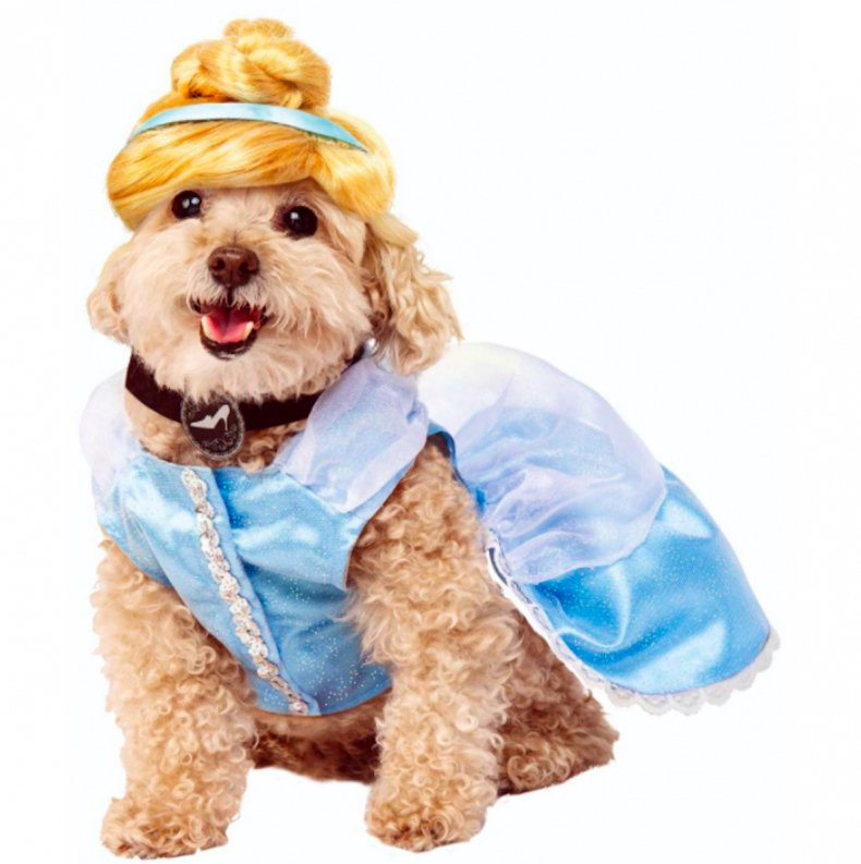 costumes de chien halloween mignon 4
