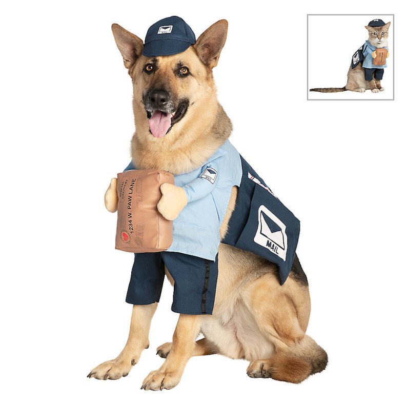 costumes mignons de chien d'halloween 5