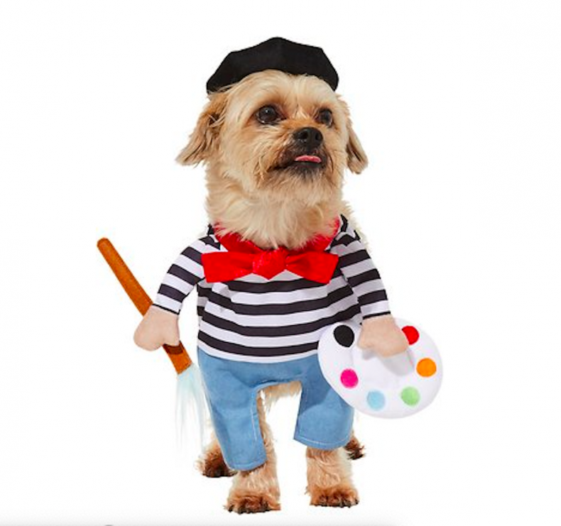 costumes de chien halloween mignon 6