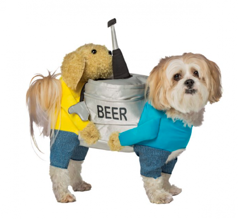 costumes de chien halloween mignon 7