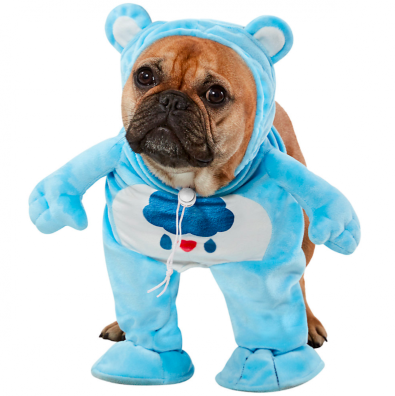 costumes mignons de chien d'halloween 8