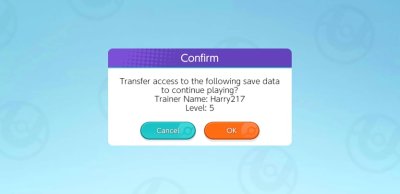 Transfer Access to Data Confirmation Screen