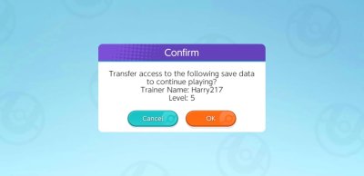 Transfer Access to Data Confirmation Screen Transfer Access to Data Confirmation Screen