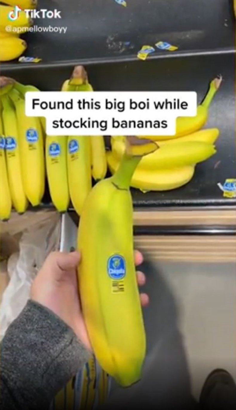 Giant banana Ethan Barnes found. 
