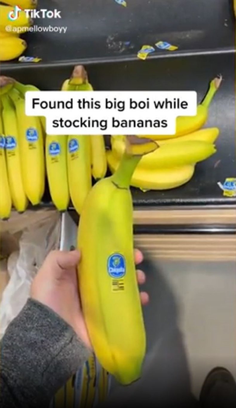 Giant banana Ethan Barnes found.
