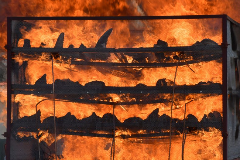 Burning rhino horns