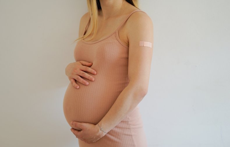 Pregnancy Vaccine