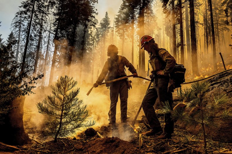 California Fire Prevention
