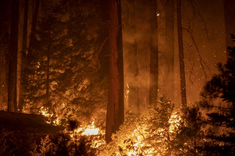 Wildfire California