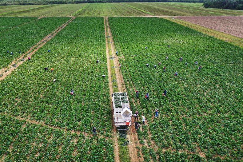 Florida Agriculture 