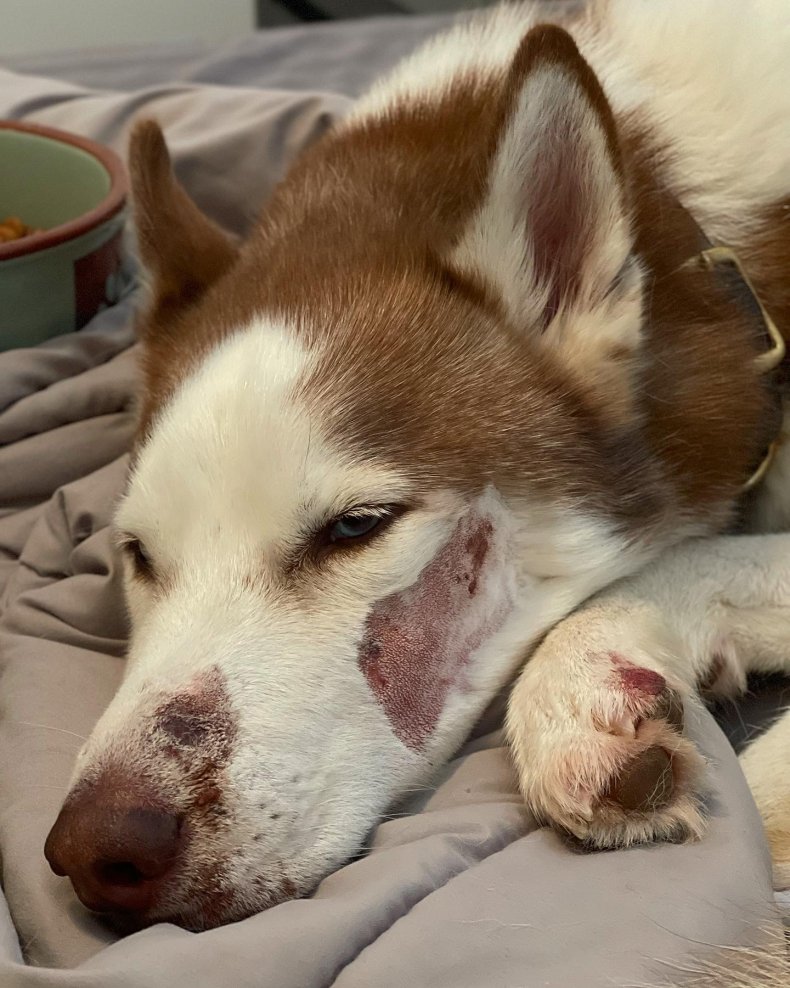 Grover's injuries