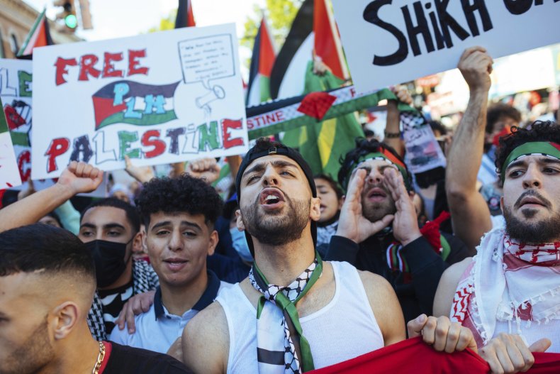 Activists Rally in NY for Palestine