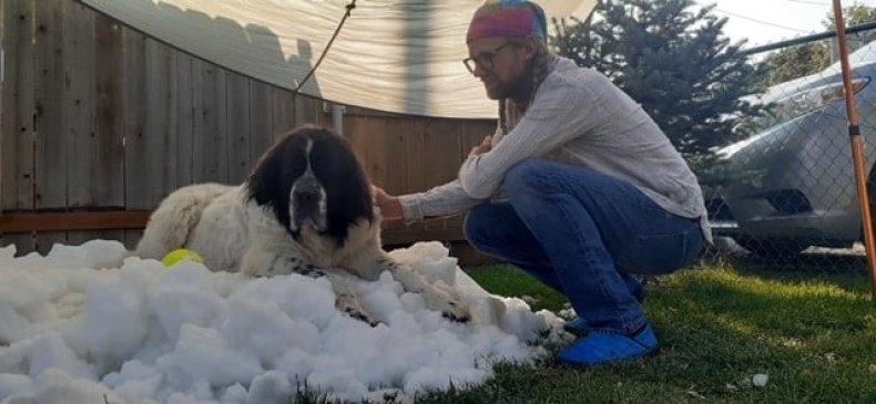 Maggie's Snowbank