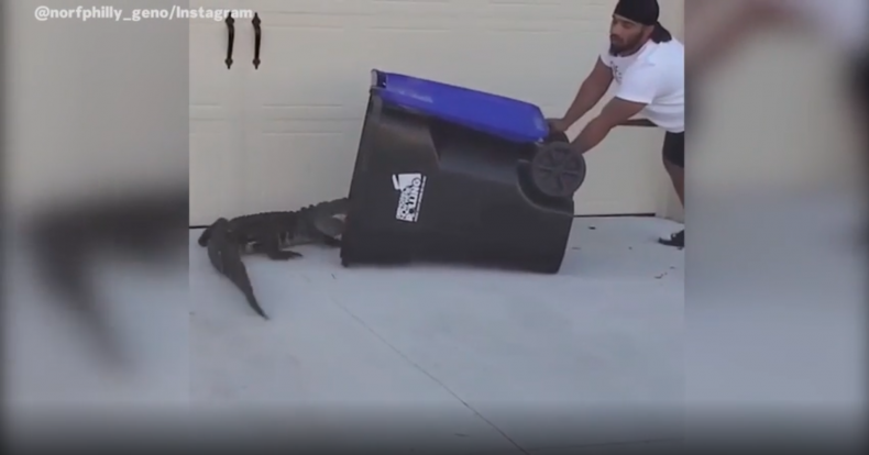 Alligator Trash Can