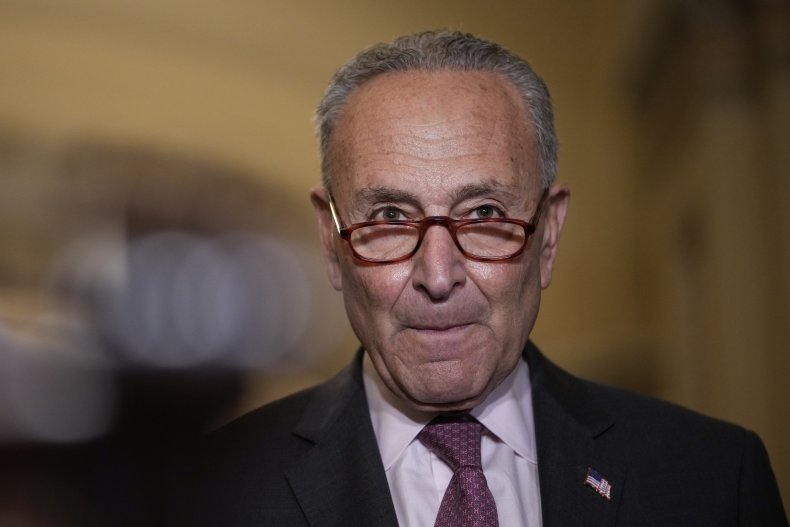 Chuck Schumer Speaks to Journalists