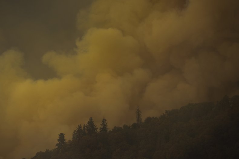 Wildfire, California 
