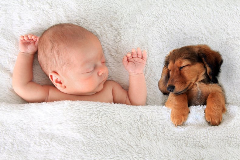 A baby and a puppy fast asleep.