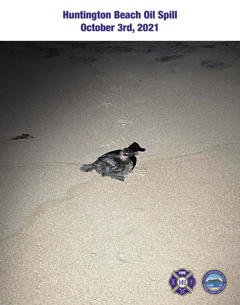 Huntington oil spill
