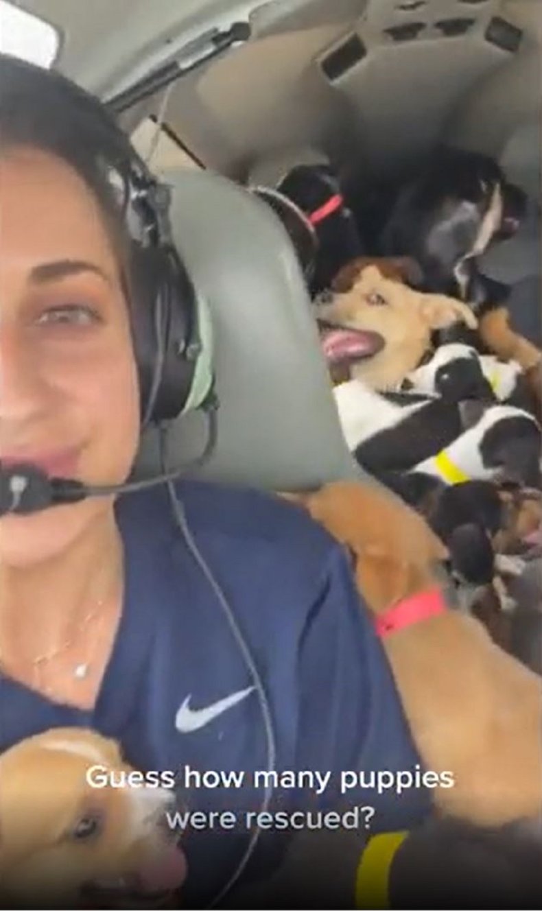 Screengrab from @cassventures' video.