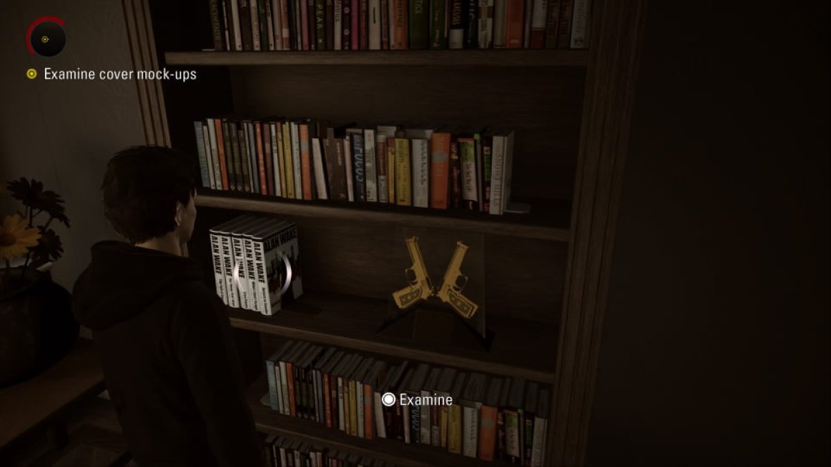 Max Payne's Guns in Alan Wake