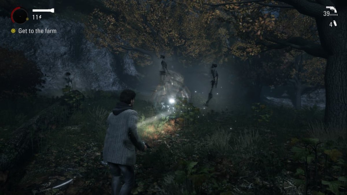 Alan Wake Skeletons