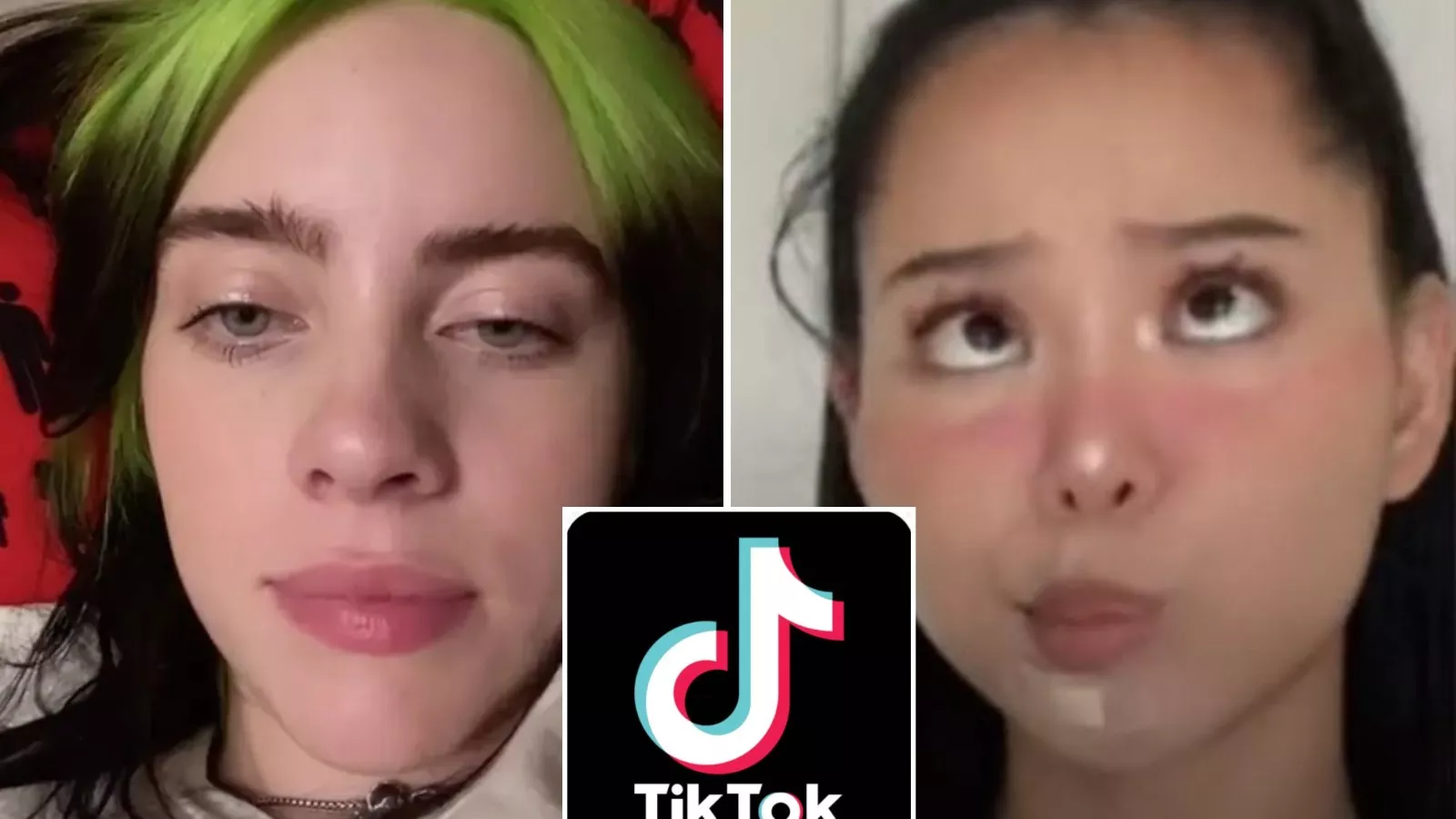 The 17 Most Liked TikTok Videos All in One Place Newsweek