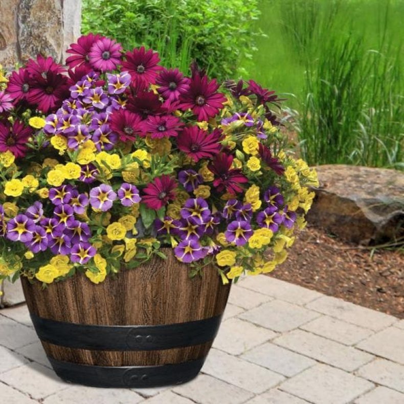 The Kentucky Walnut Resin Wine Barrel