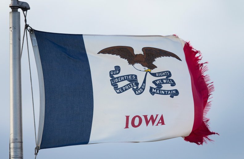Iowa State Flag